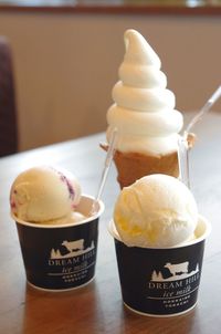 Close-up of ice cream served on table