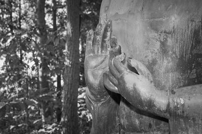 Close-up of old statue against trees