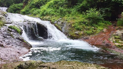 Scenic view of waterfall in forest