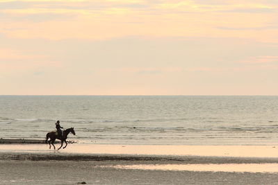 Man riding horse on beach against sky during sunset