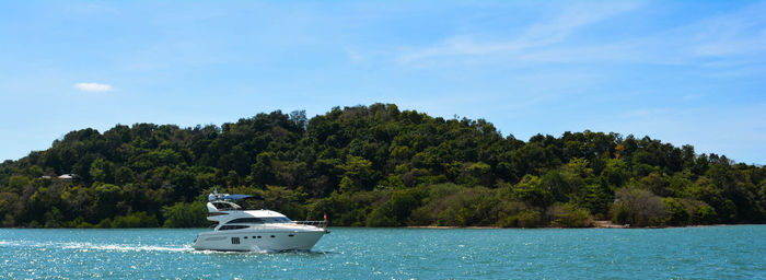 Boat in sea against trees in forest