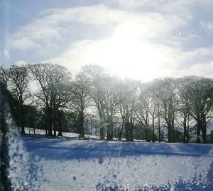 Bare trees on snow field against sky during winter