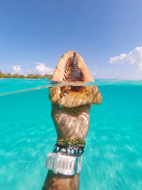 Beautiful conch shell above and below crystal clear water 