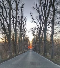 Road amidst bare trees against sky