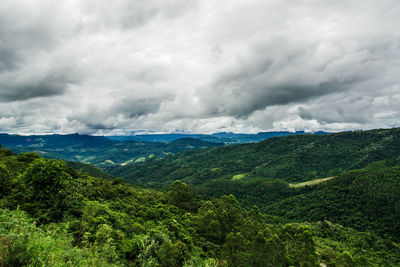 Scenic view of forest against sky