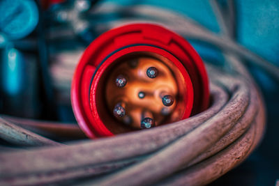 Close-up of toy in container