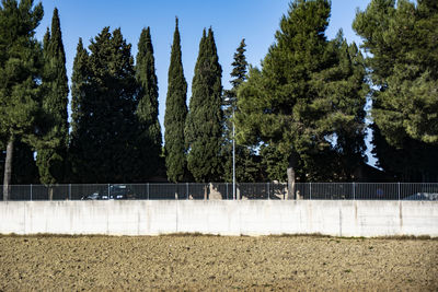 Panoramic shot of trees on field against sky