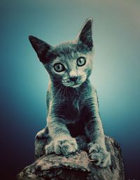 Portrait of tabby cat against gray background