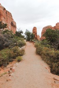 Narrow pathway along plants