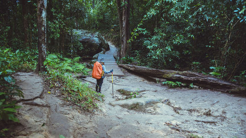 Woman walking on street amidst trees in forest