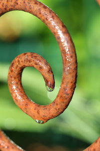 Close-up of wet rusty metal