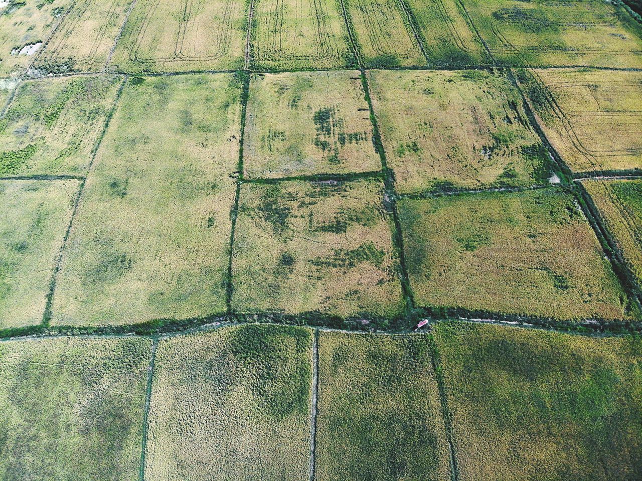 HIGH ANGLE VIEW OF FOOTPATH ON STREET