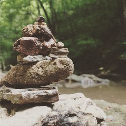 Close-up of statue against rock