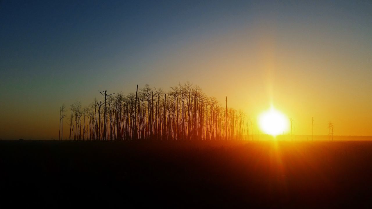 sunset, sun, silhouette, tranquil scene, tranquility, scenics, beauty in nature, orange color, clear sky, copy space, nature, idyllic, sunlight, landscape, tree, field, back lit, sky, dark, sunbeam