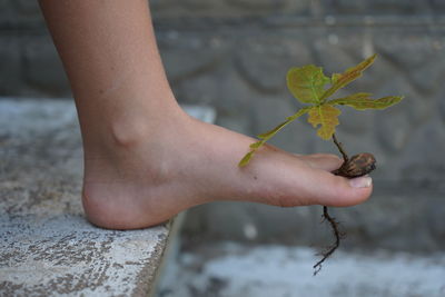 Low section of woman legs on plant