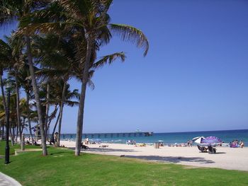 Scenic view of beach against blue sky