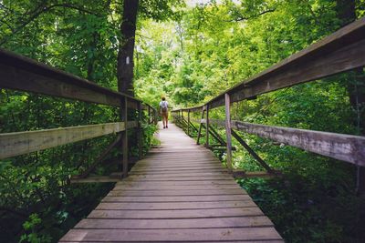 Wooden footbridge amidst trees in forest