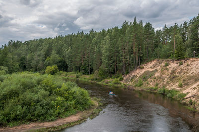 Scenic view of river amidst trees against sky