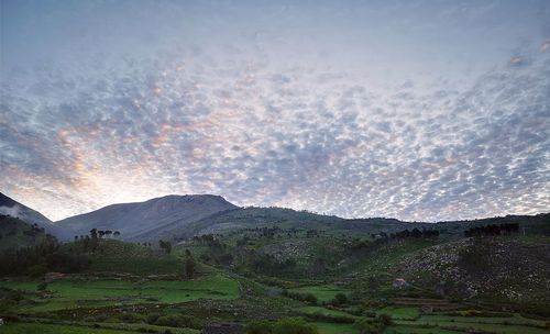 Scenic view of field against sky