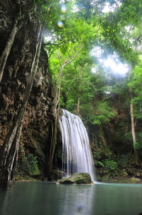Scenic view of waterfall in forest