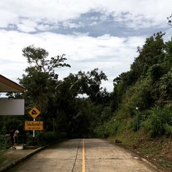 Road passing through a forest