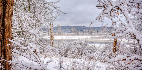 Scenic view of frozen lake against sky during winter