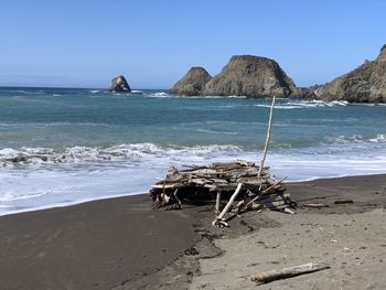 Driftwood on beach against clear sky