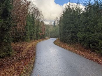 Road amidst trees in forest against sky