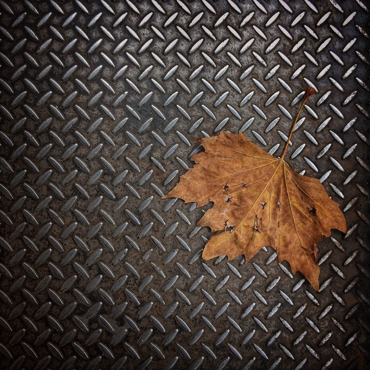 pattern, cobblestone, full frame, backgrounds, high angle view, textured, paving stone, metal, no people, outdoors, close-up, day, autumn, street, abundance, repetition, geometric shape, shape, stone - object, design