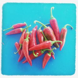 Close-up of red chili pepper