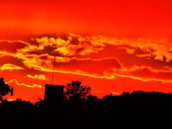 Low angle view of silhouette trees against orange sky