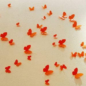 Close-up of red rose