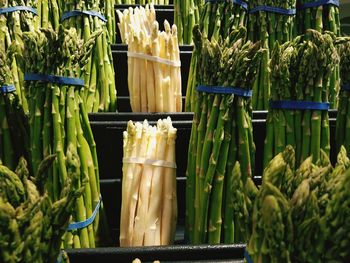Bunch of asparagus for sale at market stall