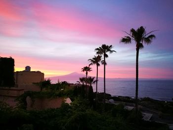 Silhouette of palm trees at beach during sunset