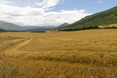 Scenic view of field and mountains against sky