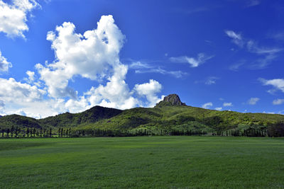 Scenic view of field against blue sky