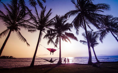 Palm trees at beach against sky during sunset