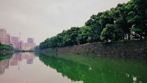 Reflection of trees in river