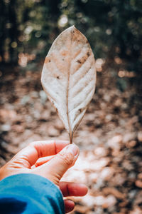 Close-up of hand holding heart shape leaf