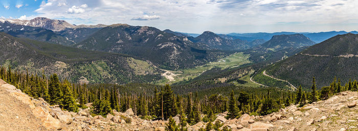 Panoramic view of pine trees against sky