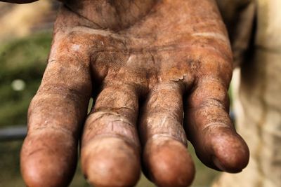 Close-up of human hand