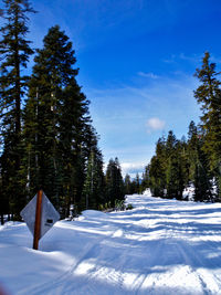 Trees on snow covered landscape against sky