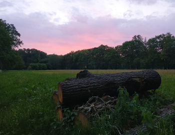 Wooden log on field against sky during sunset