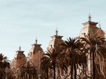 Low angle view of palm trees and buildings against sky