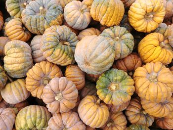 Full frame shot of pumpkins at market