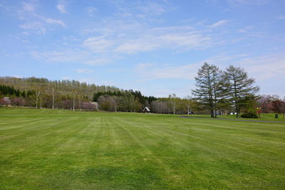 Scenic view of trees on field against sky