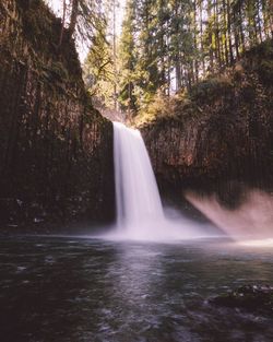 Scenic view of waterfall in forest