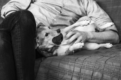Midsection of woman with dog sitting on sofa