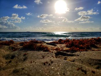 Scenic view of sea against sky