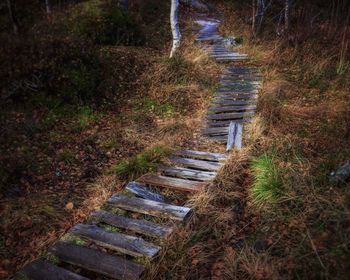 High angle view of an old partly broken  path made of wood in forest